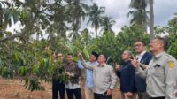 misi-hilirisasi-perkebunan-selaras-dengan-visi-ptpn-i_281868