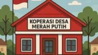 a_6855881008dcb