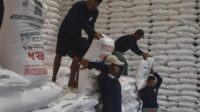 stok-pupuk-bersubsidi-di-pupuk-indonesia-2628752
