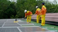 99671-green-jobs-alias-pekerjaan-ramah-lingkungan